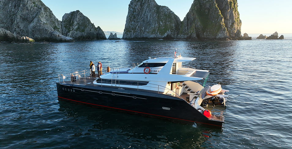 8 местный катамаран VIP класса