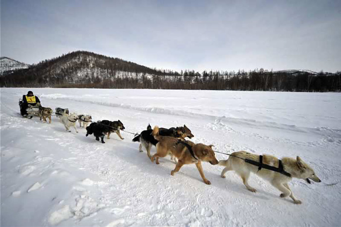 праздники коренных народов камчатки