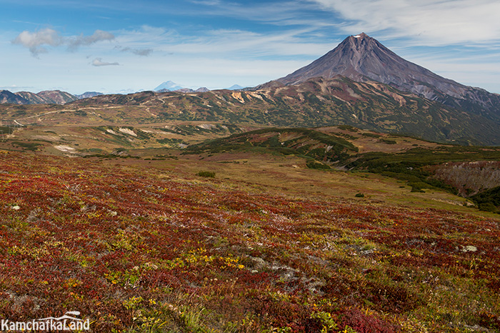 Камчатка в сентябре фото Путешествие и туры на Камчатку в сентябре Kamchatkaland - экскурсии на Камчатке