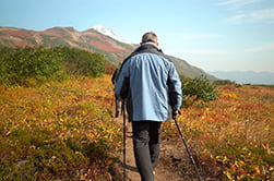 осенние краски