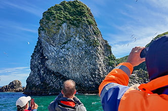 птичьи базары на Камчатке