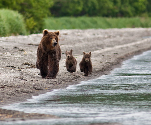 Курильское озеро с ночевкой