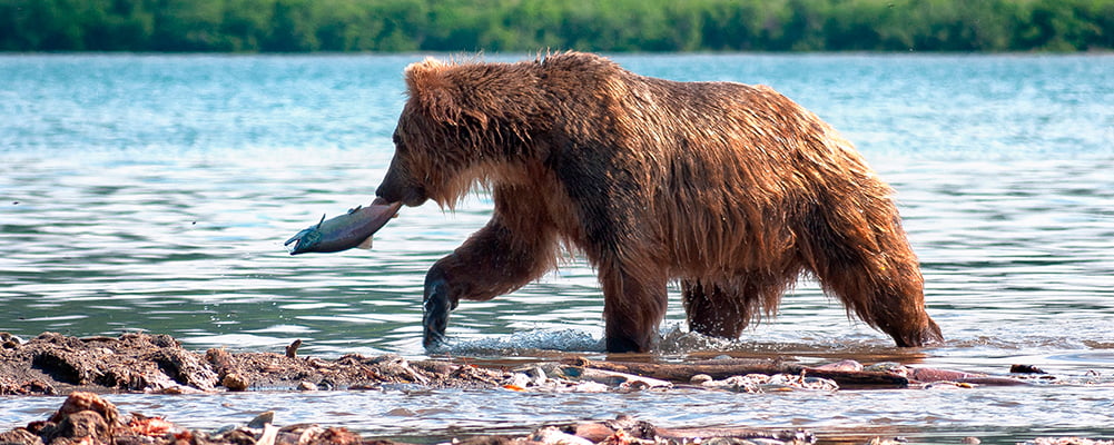 Экскурсия на Курильское озеро