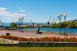 центр Петропавловска-Камчатского в цветах