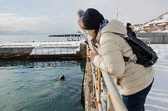 встретили сивучей