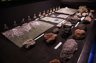 экспозиция породы