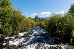 будем проезжать леса и реки