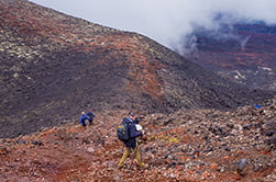 разминочный трекинг перед восхождением на Толбачик